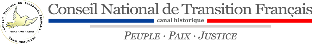 Conseil National de Transition (CNT) canal historique